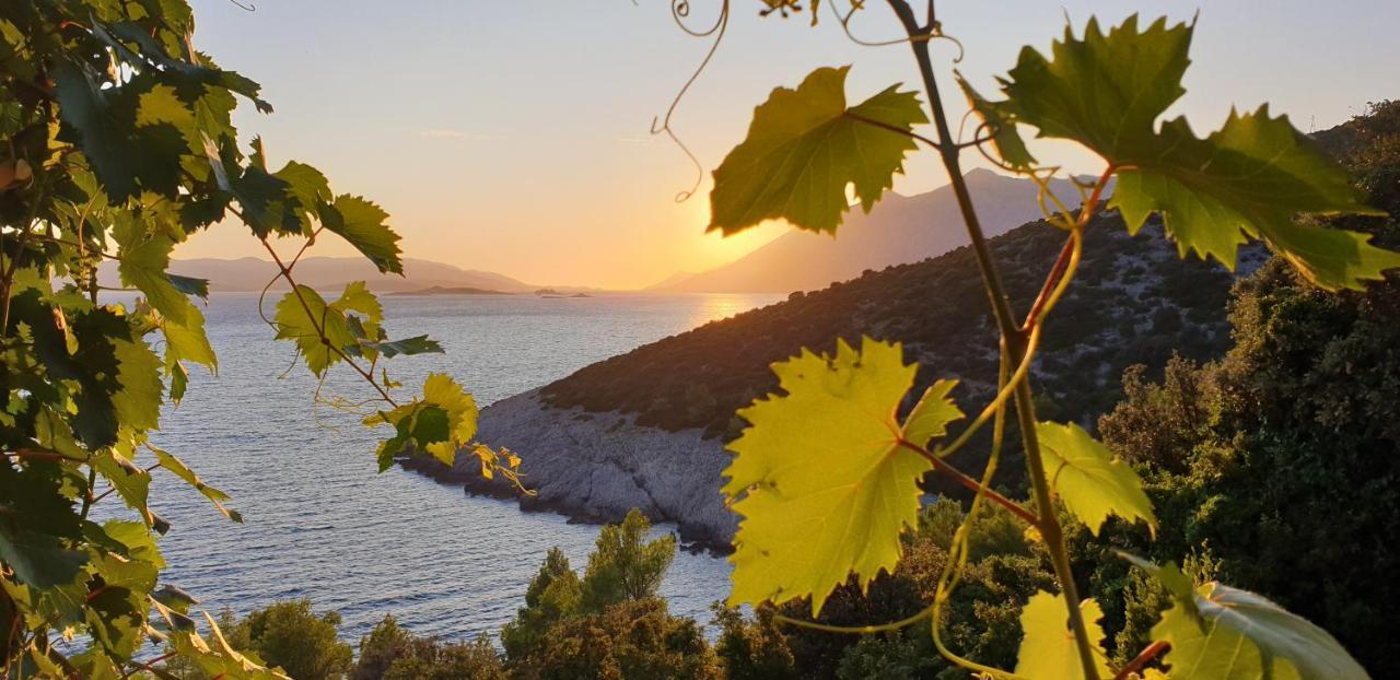 Apartamento Adriatic Orebić Exterior foto